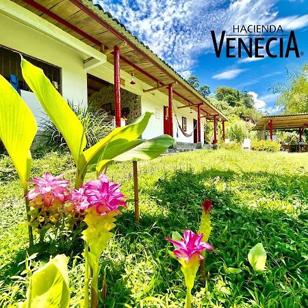 Hacienda Venecia Hostel San Peregrino Exterior photo